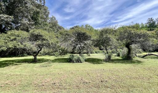 Photo #41 of 1004 No Bottom RD, Warrenton, NC 44.0 acres