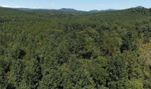 Photo #10 of Off Old Morganton Road, Rutherfordton, NC 44.7 acres