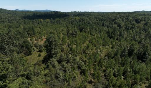 Photo #19 of Off Old Morganton Road, Rutherfordton, NC 44.7 acres