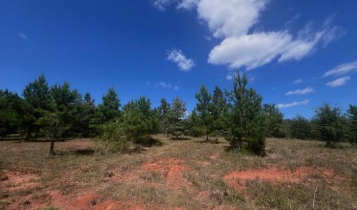 Photo #20 of Off Old Morganton Road, Rutherfordton, NC 44.7 acres