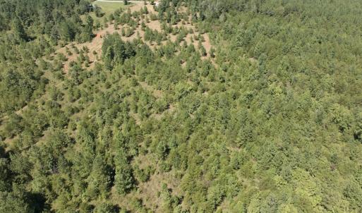 Photo #21 of Off Old Morganton Road, Rutherfordton, NC 44.7 acres