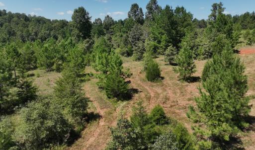 Photo #22 of Off Old Morganton Road, Rutherfordton, NC 44.7 acres