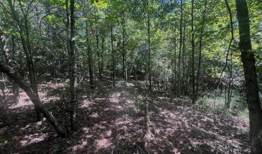 Photo #23 of Off Old Morganton Road, Rutherfordton, NC 44.7 acres