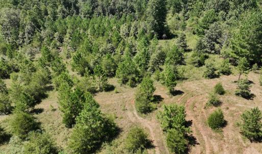 Photo #24 of Off Old Morganton Road, Rutherfordton, NC 44.7 acres