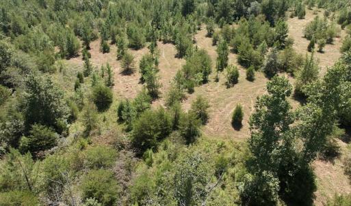 Photo #25 of Off Old Morganton Road, Rutherfordton, NC 44.7 acres