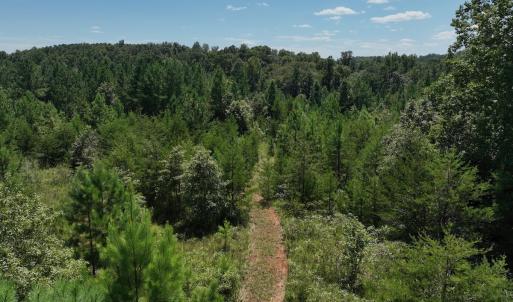Photo #26 of Off Old Morganton Road, Rutherfordton, NC 44.7 acres