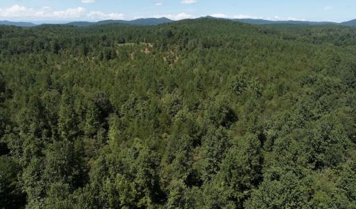 Photo #31 of Off Old Morganton Road, Rutherfordton, NC 44.7 acres