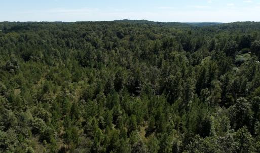 Photo #35 of Off Old Morganton Road, Rutherfordton, NC 44.7 acres