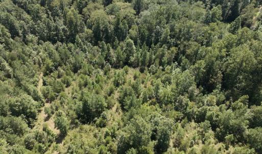 Photo #38 of Off Old Morganton Road, Rutherfordton, NC 44.7 acres