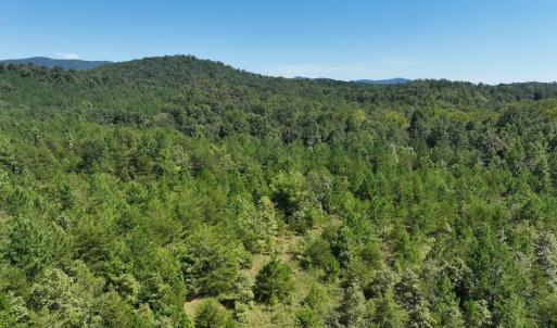 Photo #28 of Off Old Morganton Road, Rutherfordton, NC 44.7 acres