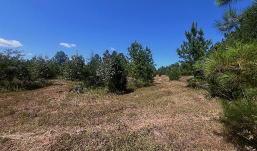 Photo #39 of Off Old Morganton Road, Rutherfordton, NC 44.7 acres