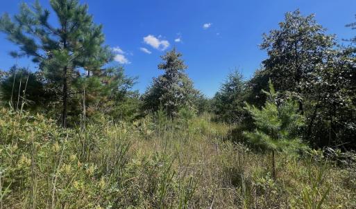 Photo #40 of Off Old Morganton Road, Rutherfordton, NC 44.7 acres