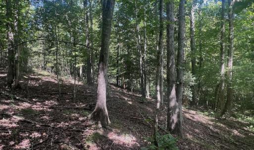 Photo #7 of Off Old Morganton Road, Rutherfordton, NC 44.7 acres