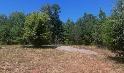 Photo #8 of Off Old Morganton Road, Rutherfordton, NC 44.7 acres