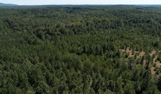 Photo #46 of Off Old Morganton Road, Rutherfordton, NC 44.7 acres