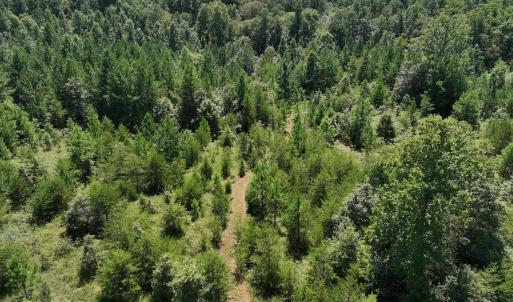Photo #42 of Off Old Morganton Road, Rutherfordton, NC 44.7 acres