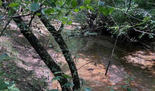 Photo #59 of Off Old Morganton Road, Rutherfordton, NC 44.7 acres