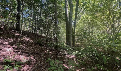 Photo #60 of Off Old Morganton Road, Rutherfordton, NC 44.7 acres