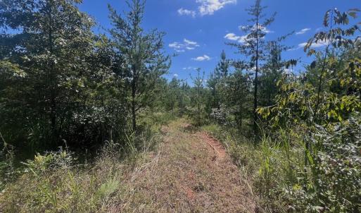 Photo #54 of Off Old Morganton Road, Rutherfordton, NC 44.7 acres