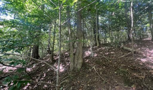 Photo #61 of Off Old Morganton Road, Rutherfordton, NC 44.7 acres