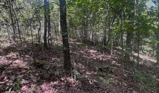 Photo #62 of Off Old Morganton Road, Rutherfordton, NC 44.7 acres