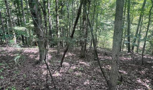 Photo #63 of Off Old Morganton Road, Rutherfordton, NC 44.7 acres