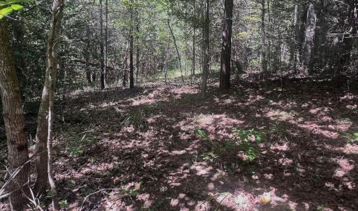 Photo #64 of Off Old Morganton Road, Rutherfordton, NC 44.7 acres