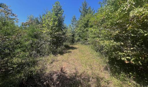 Photo #65 of Off Old Morganton Road, Rutherfordton, NC 44.7 acres