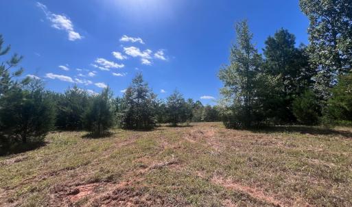 Photo #66 of Off Old Morganton Road, Rutherfordton, NC 44.7 acres