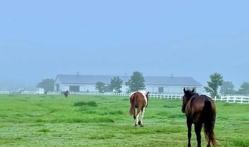 Photo #74 of 1924 Sanderson Road, Chesapeake, VA 50.9 acres