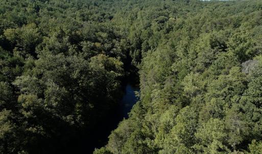Photo #4 of Off Brights Road, Pittsville, VA 30.4 acres