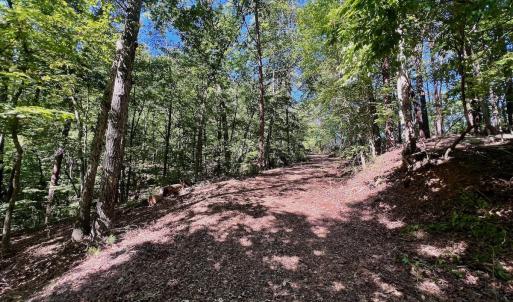 Photo #7 of Off Brights Road, Pittsville, VA 30.4 acres