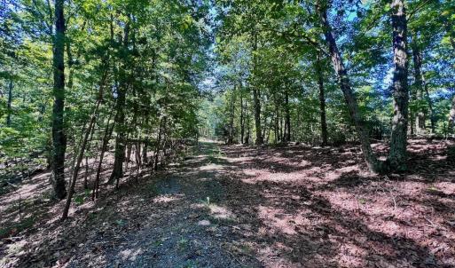 Photo #9 of Off Brights Road, Pittsville, VA 30.4 acres