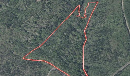 Photo #15 of Off Brights Road, Pittsville, VA 30.4 acres