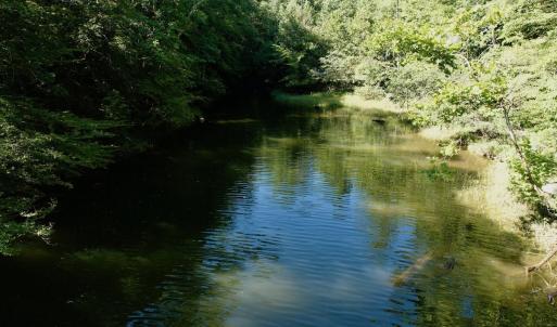 Photo #22 of Off Brights Road, Pittsville, VA 30.4 acres