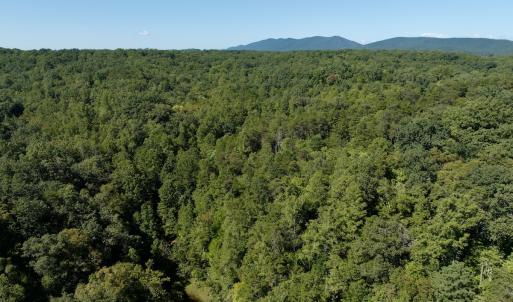 Photo #42 of Off Brights Road, Pittsville, VA 30.4 acres