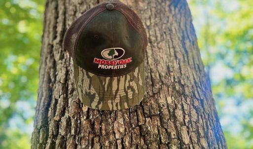 Photo #51 of Off Brights Road, Pittsville, VA 30.4 acres