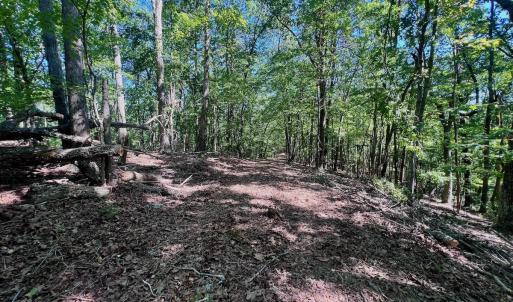 Photo #55 of Off Brights Road, Pittsville, VA 30.4 acres