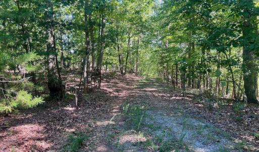 Photo #56 of Off Brights Road, Pittsville, VA 30.4 acres