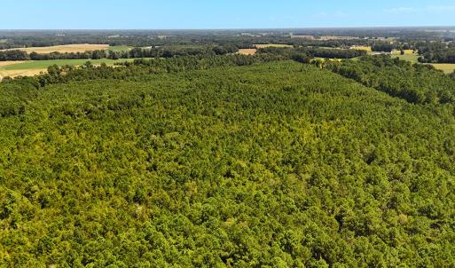 Photo #10 of Off Lagrange Rd, La Grange, NC 86.7 acres