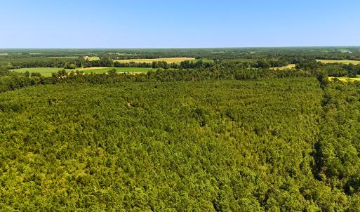 Photo #11 of Off Lagrange Rd, La Grange, NC 86.7 acres
