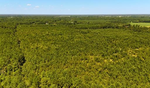 Photo #12 of Off Lagrange Rd, La Grange, NC 86.7 acres