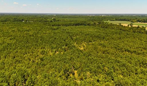 Photo #13 of Off Lagrange Rd, La Grange, NC 86.7 acres