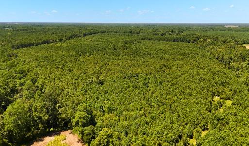 Photo #14 of Off Lagrange Rd, La Grange, NC 86.7 acres