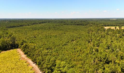 Photo #15 of Off Lagrange Rd, La Grange, NC 86.7 acres
