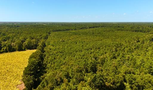 Photo #16 of Off Lagrange Rd, La Grange, NC 86.7 acres