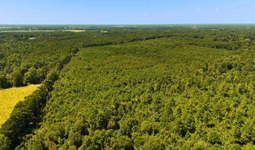 Photo #17 of Off Lagrange Rd, La Grange, NC 86.7 acres
