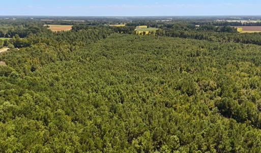 Photo #5 of Off Lagrange Rd, La Grange, NC 86.7 acres