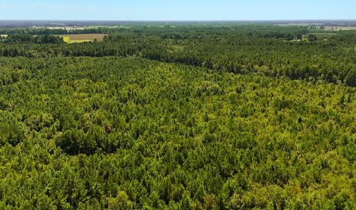 Photo #7 of Off Lagrange Rd, La Grange, NC 86.7 acres