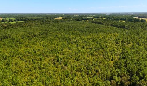 Photo #8 of Off Lagrange Rd, La Grange, NC 86.7 acres